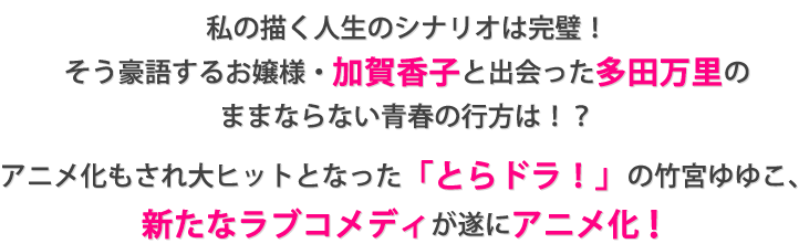 私の描く人生のシナリオは完璧!
そう豪語するお嬢様・加賀香子と出会った多田万里の
ままならない青春の行方は!?
アニメ化もされ大ヒットとなった「とらドラ!」の竹宮ゆゆこ、
新たなラブコメディが遂にアニメ化!